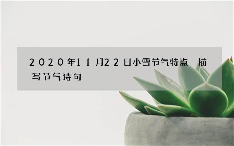 2020年11月22日小雪节气特点 描写节气诗句